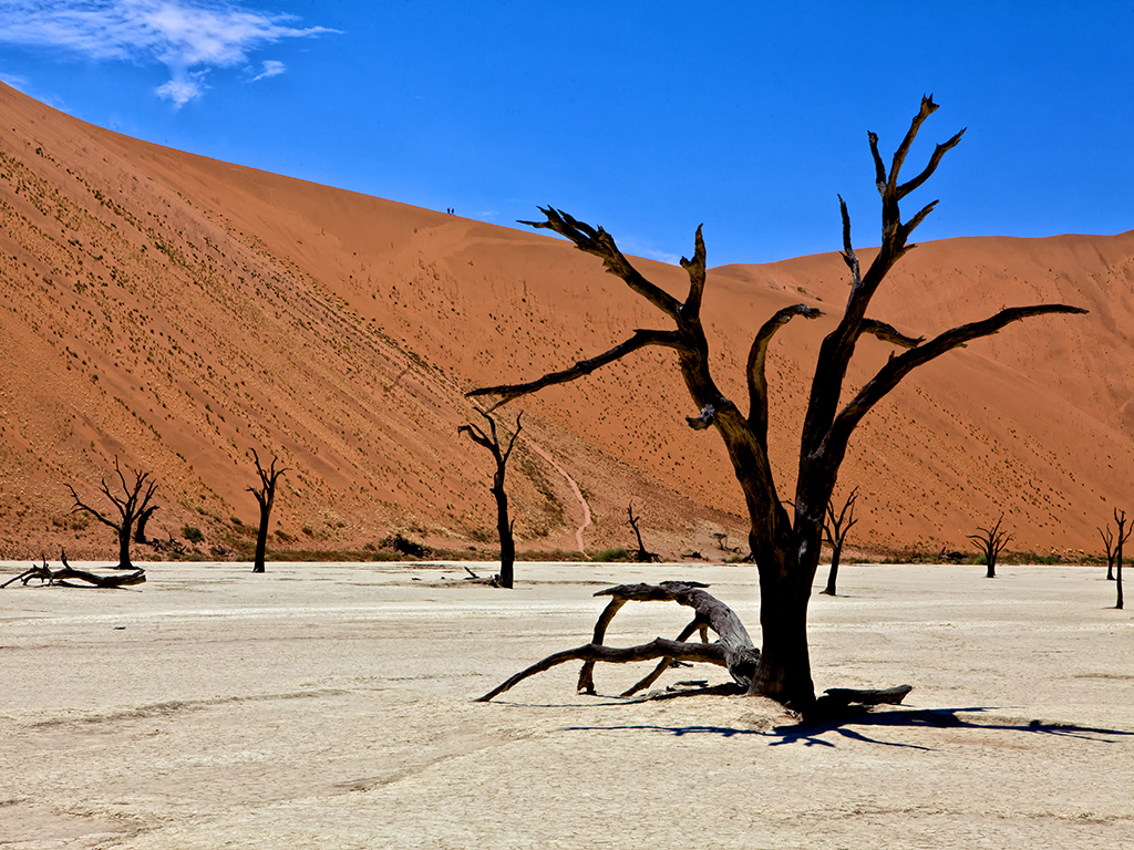 a voir en namibie