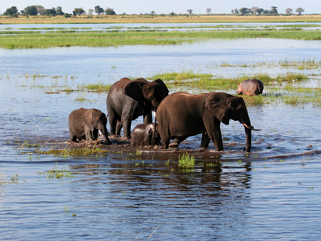 A voir en Tanzanie