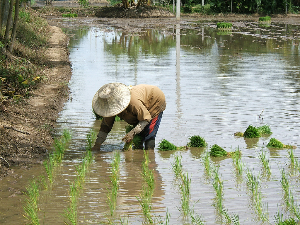 avant de partir au Vietnam