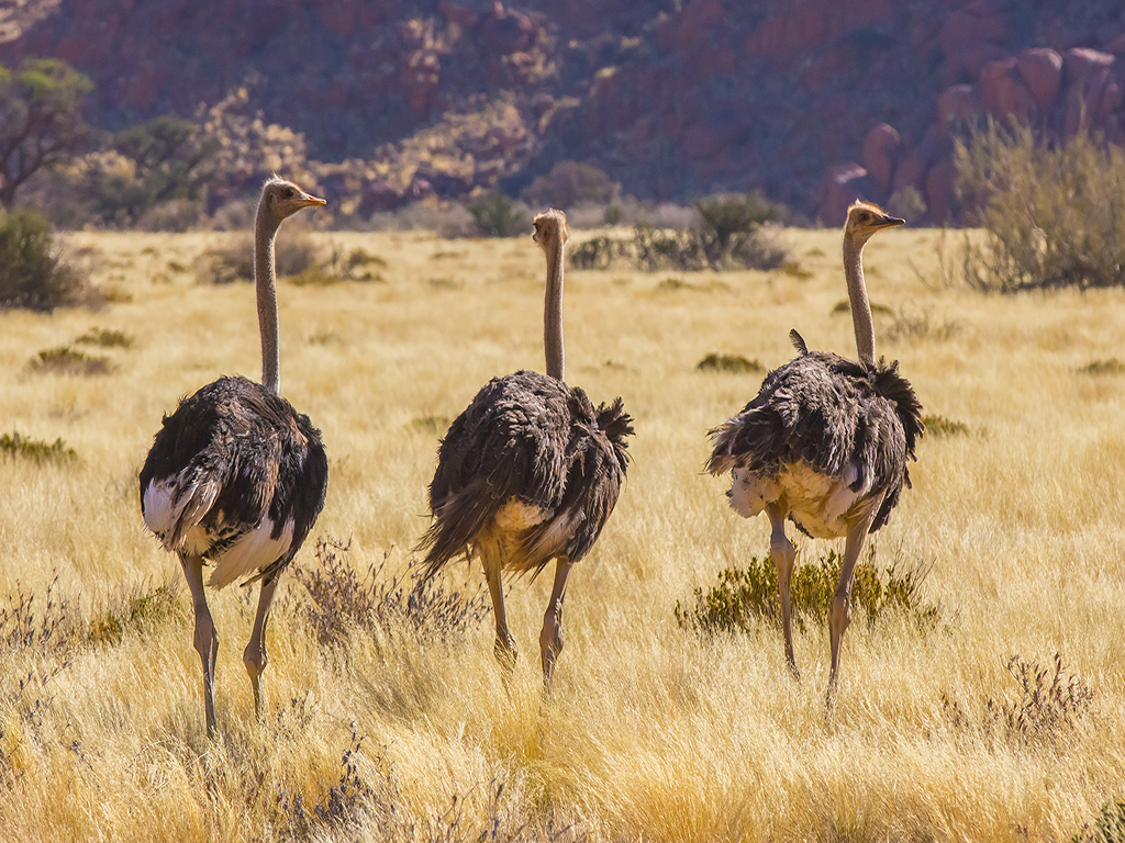 infos pratiques de Namibie