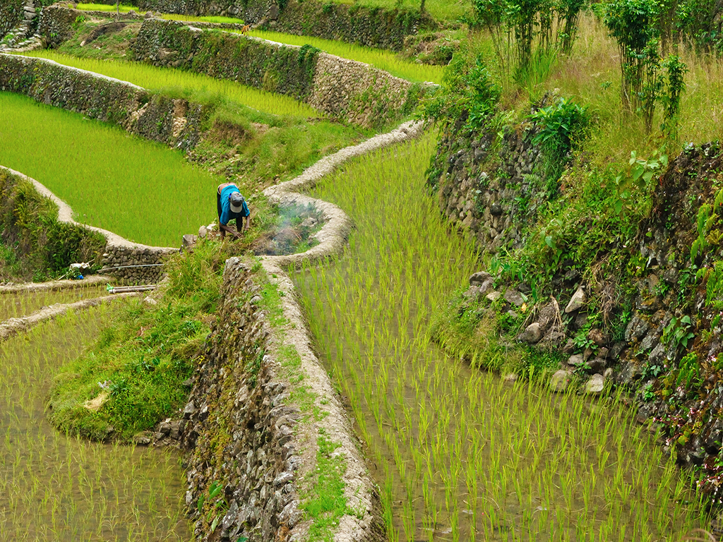 Quand partir aux Philippines ?