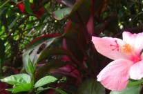 Thalasso N1, la référence en matière de voyage bien-être Thalasso N1, la référence en matière de voyage bien-être