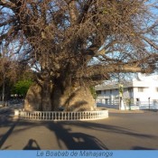 A la découverte de Mahajanga