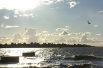 Venez poser vos bagages à Tharon-Plage