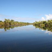 Le sud de Madagascar : un vivier de curiosités à explorer