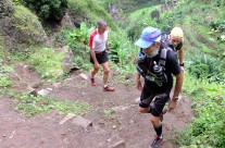 La piste des oasis au Cap Vert La piste des oasis au Cap Vert