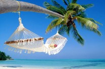 La Guadeloupe est une destination de rêve