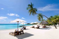 Zoom Sur Quelques Incontournables Du Vietnam