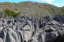 Voyage à Madagascar : les attractions touristiques et les meilleures choses à faire