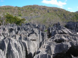 Parc national Madagascar