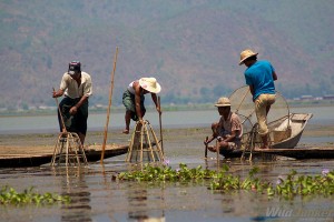 myanmar-lac-inle1