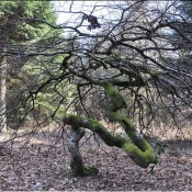 En Champagne, à la croisée du Chemin de Compostelle et de la via Francigéna