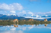 Que faire dans un voyage au Chili