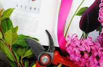 Un peu Beaucoup, fleuriste à Paris Un peu Beaucoup, fleuriste à Paris