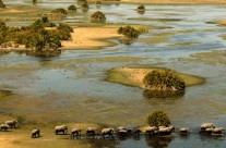 Découvrir le Delta de l’Okavango