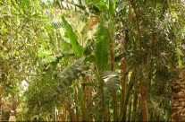 Le voyage par l’image Le voyage par l’image