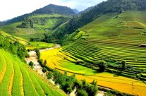 Vietnam, pays qui fait rêver Vietnam, pays qui fait rêver