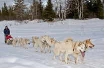 Réveillons de Noël et du jour de l’an au Canada