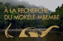 Expédition dans le sud-est du Cameroun et au nord Congo Expédition dans le sud-est du Cameroun et au nord Congo