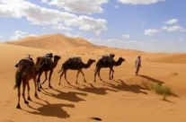 Envisagez un voyage à Marrakech !