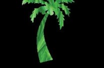 Le guide touristique de la Martinique