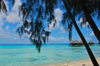 L’île de Noirmoutier L’île de Noirmoutier