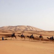 Excitantes choses à faire durant un tour dans le désert du Maroc