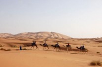 Excitantes choses à faire durant un tour dans le désert du Maroc