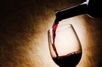 Wine–Odyssey–Bordeaux Wine–Odyssey–Bordeaux