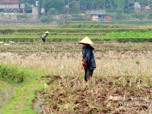 Maichau, Vietnam Village Monde