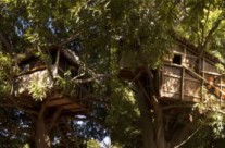Jungle Park: Camp dans les arbres, séjours aventures Jungle Park: Camp dans les arbres, séjours aventures