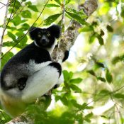 Voyage à Madagascar : de l’imaginaire à la réalité…