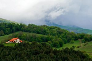 Dilijan1