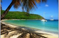 Croisière de rêve en catamaran : de la Martinique aux îles Grenadines Croisière de rêve en catamaran : de la Martinique aux îles Grenadines
