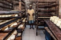 Une virée dans le terroir des fromages Malgaches