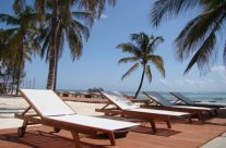 Quels sont les meilleurs hôtels de zanzibar ? Quels sont les meilleurs hôtels de zanzibar ?