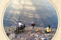 Complexe Collier d’Ambre Imilchil Complexe Collier d’Ambre Imilchil