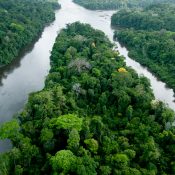 Vivre un moment unique en Guyane