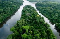 Vivre un moment unique en Guyane Vivre un moment unique en Guyane