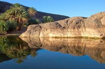Découvrez les trésors naturels et historiques dont regorge le Maroc avec Morocco Ecotours