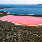 Le lagon Las Coloradas : l’incroyable lac rose du Mexique !