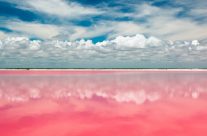 Le lagon Las Coloradas : l’incroyable lac rose du Mexique ! Le lagon Las Coloradas : l’incroyable lac rose du Mexique !