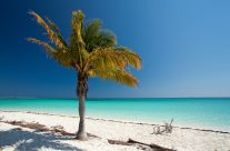 Pour des vacances ensoleillées sur la terre cubaine