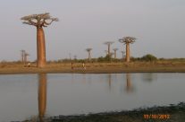 Chers Voyagistes et Aventureux