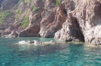 Scandola, un paradis préservé Scandola, un paradis préservé