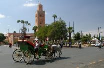 Marrakech est la destination préférée de nombreux touristes