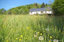 Les gîtes RENAUD & RAUTSCH Les gîtes RENAUD & RAUTSCH