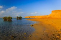 TOP 10 des destinations incontournables de Colombie ! TOP 10 des destinations incontournables de Colombie !