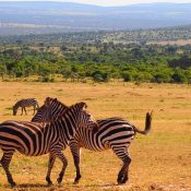 Voyage en Afrique : que faire pour se protéger du soleil?