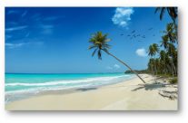 Louer une villa de vacances en Guadeloupe ? Louer une villa de vacances en Guadeloupe ?